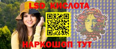 шишки Аргун