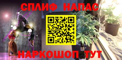 шишки Аргун