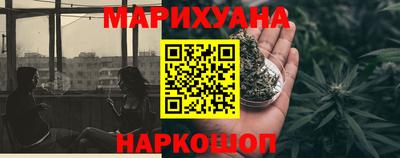 шишки Аргун